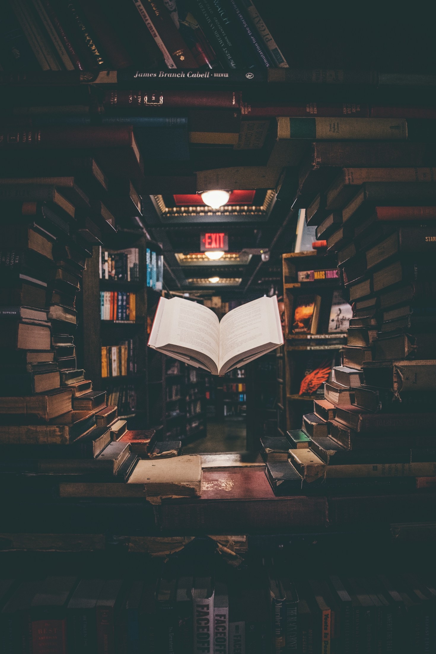 Guida pratica per autori emergenti e studiosi